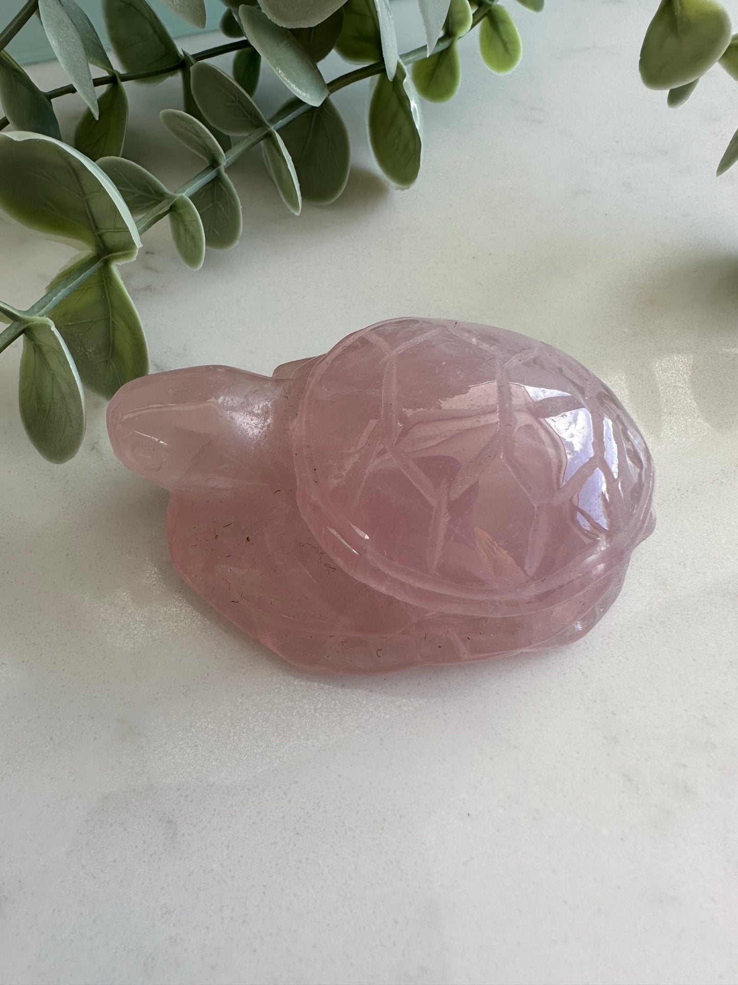 Rose Quartz Turtle