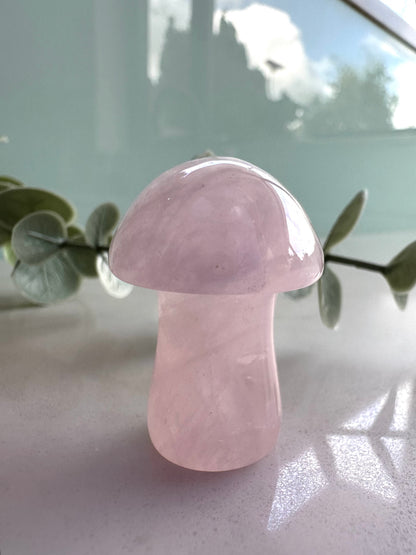 Crystal Mushrooms