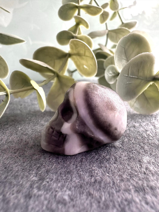 Shell Jasper Skull