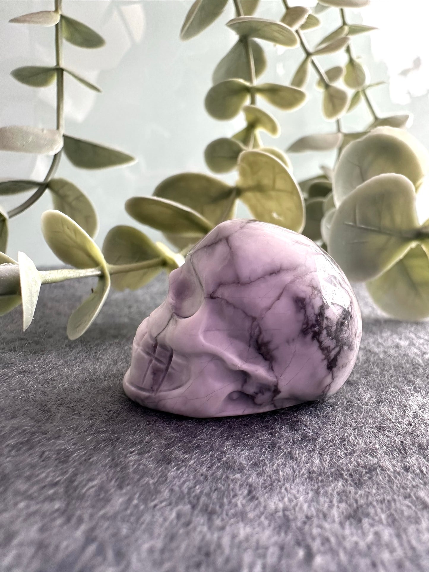 Howlite Skull