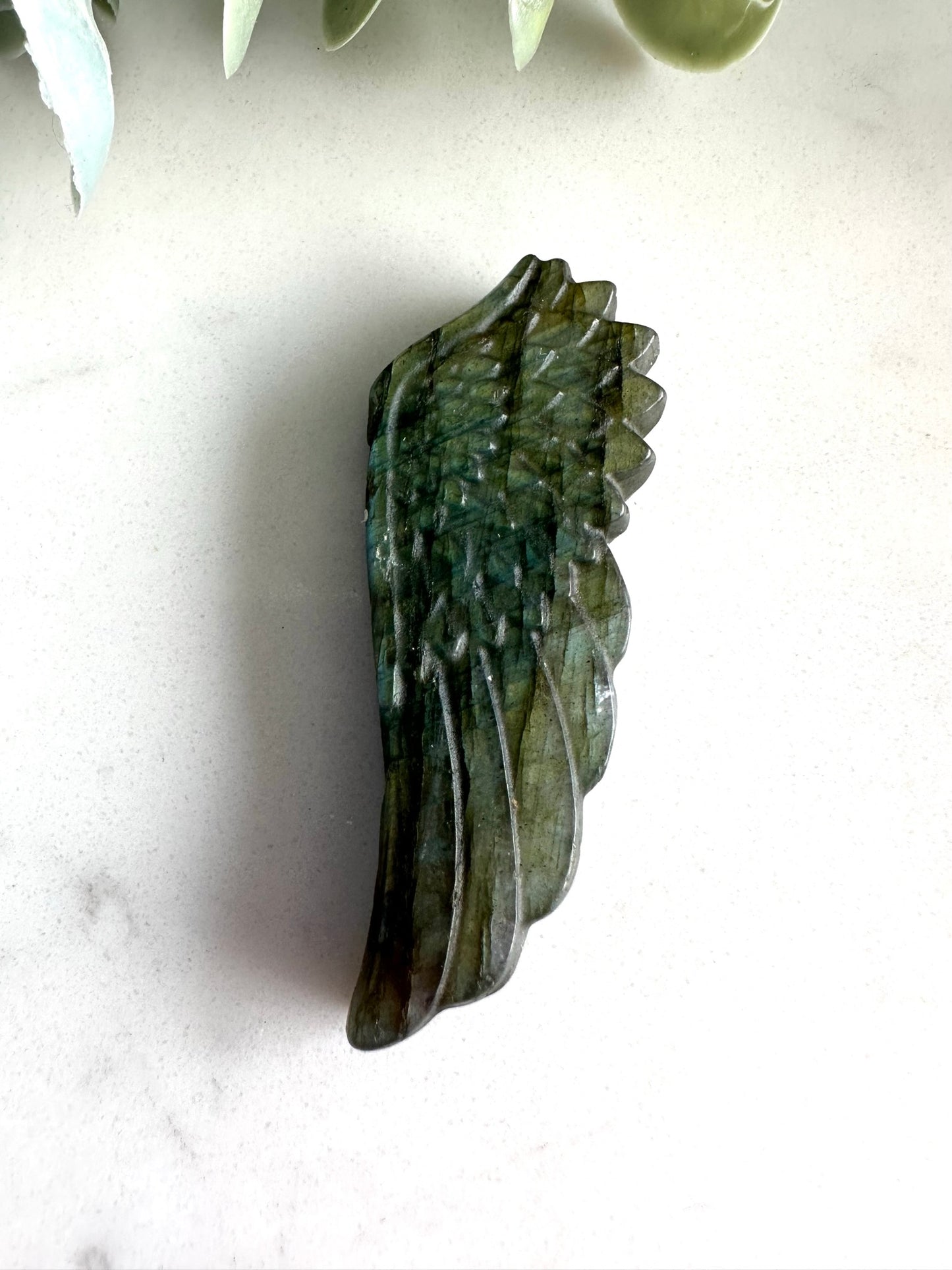Labradorite Wing