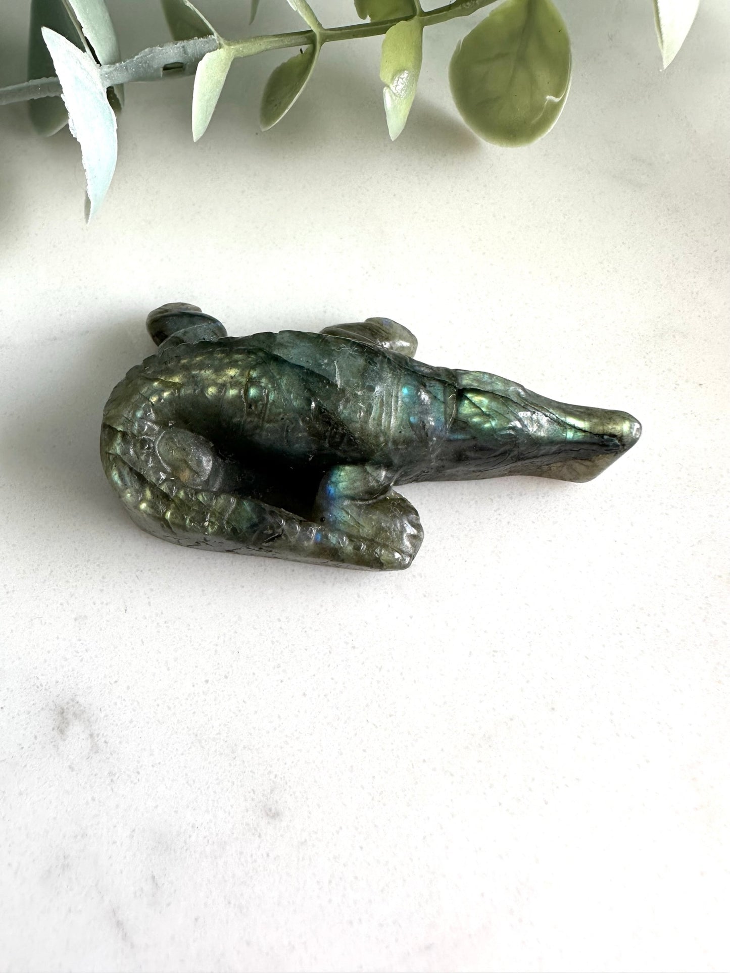 Labradorite Crocodile
