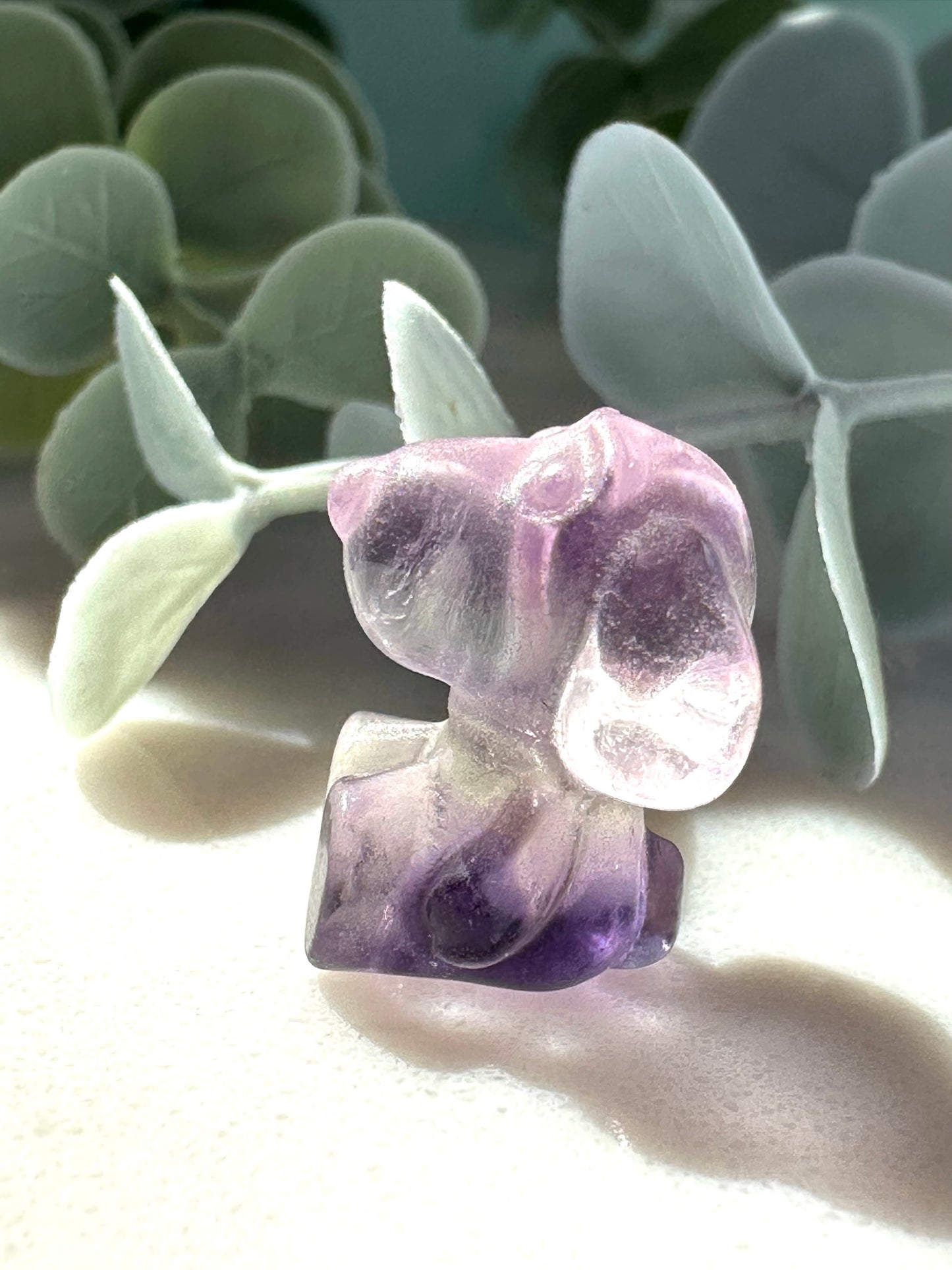 Mini Fluorite Dog