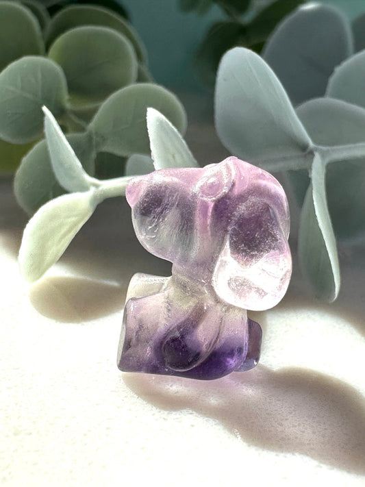 Mini Fluorite Dog